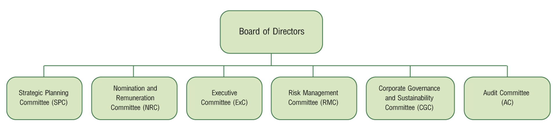  Board Structure