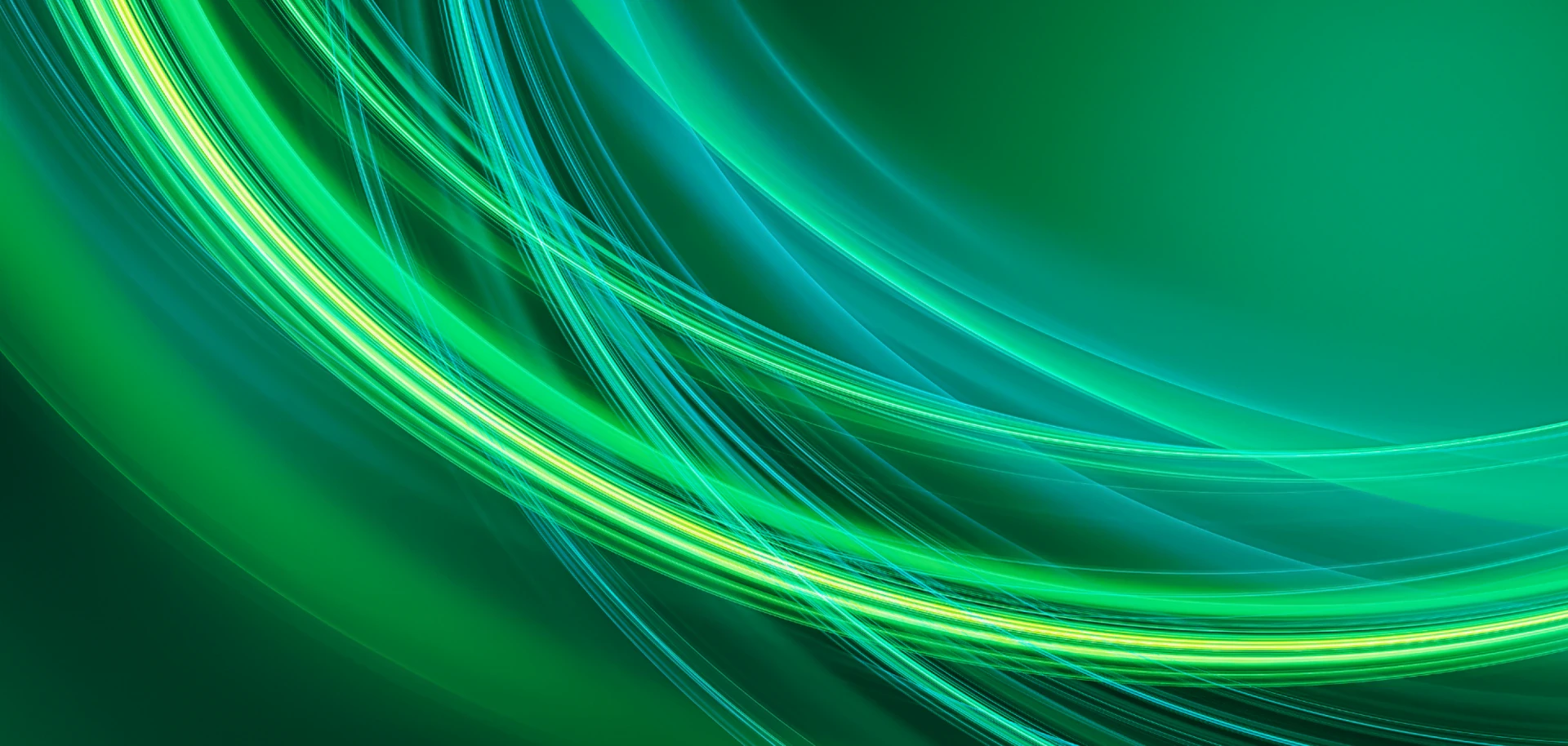 โครงสร้างการถือหุ้นของบริษัท