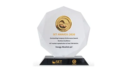 Award Outstanding Company Performance Awards 2020 for listed company with more than 100 billion market capitalization